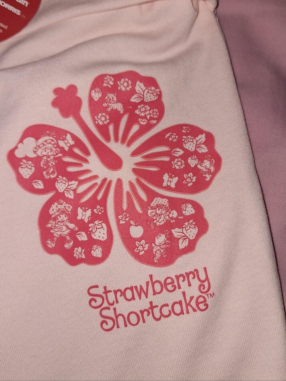 Strawberry Shortcake Lounge Pants Pink XL